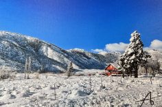 Best Canvas Print Services in 2021 – Hands-On Review