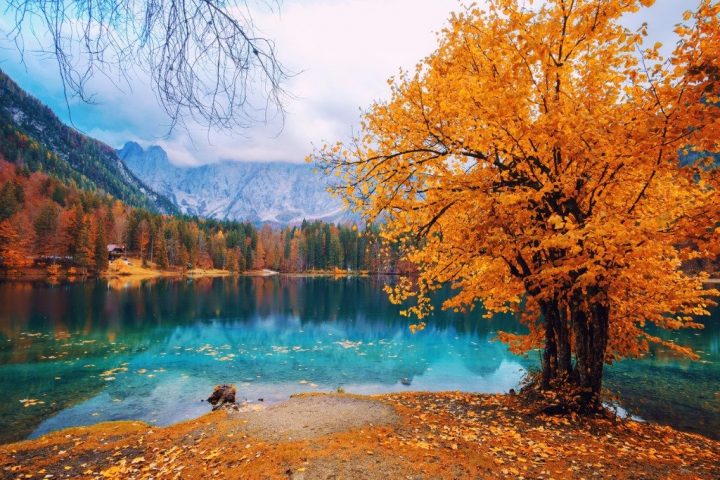 Lighting Tips for Landscape Photography